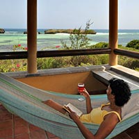 Relaxing on the Terrace